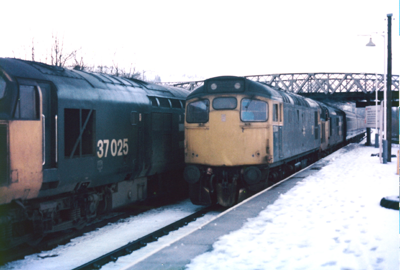 This image has an empty alt attribute; its file name is 29018527014.jpg